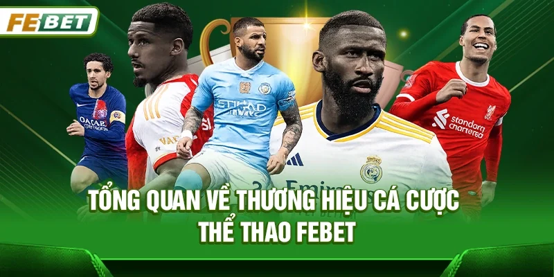 Tổng quan về thương hiệu cá cược Thể thao Febet
