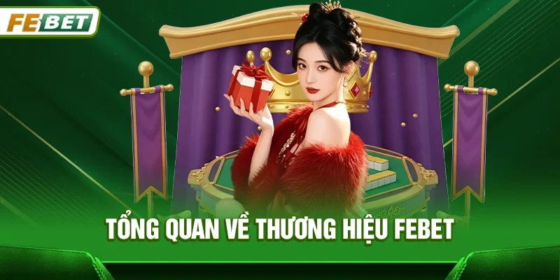 Tổng quan về thương hiệu Febet